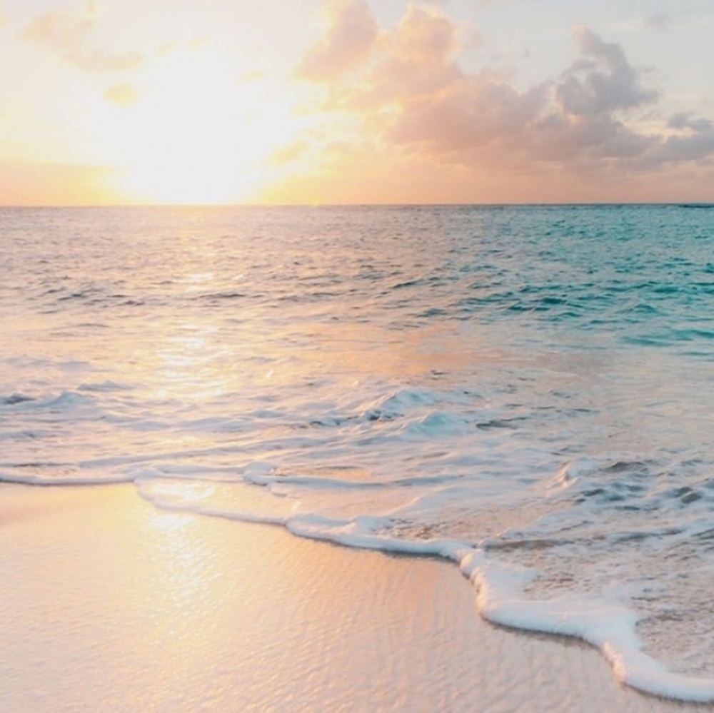 Meet your Posher, Ana